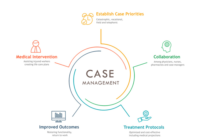 Summary Of Case Management And Homeotherapeutics 4 Feb 2019 